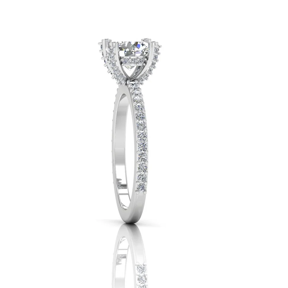 Brilliant Cut Prong & Bezel Moissanite Engagement Ring